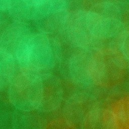 Bokeh-372